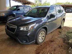 Flood-damaged cars for sale at auction: 2019 Subaru Forester