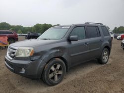 Salvage cars for sale at Conway, AR auction: 2011 Honda Pilot EXL