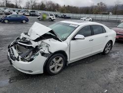 Chevrolet Malibu 1LT salvage cars for sale: 2012 Chevrolet Malibu 1LT