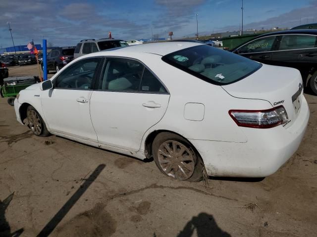 2010 Toyota Camry Hybrid