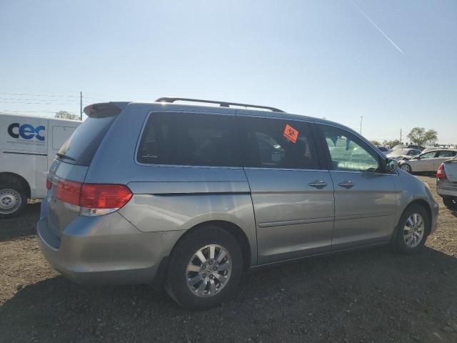 2008 Honda Odyssey EXL