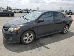 Salvage cars for sale from Copart Rancho Cucamonga, CA: 2011 Toyota Corolla Base