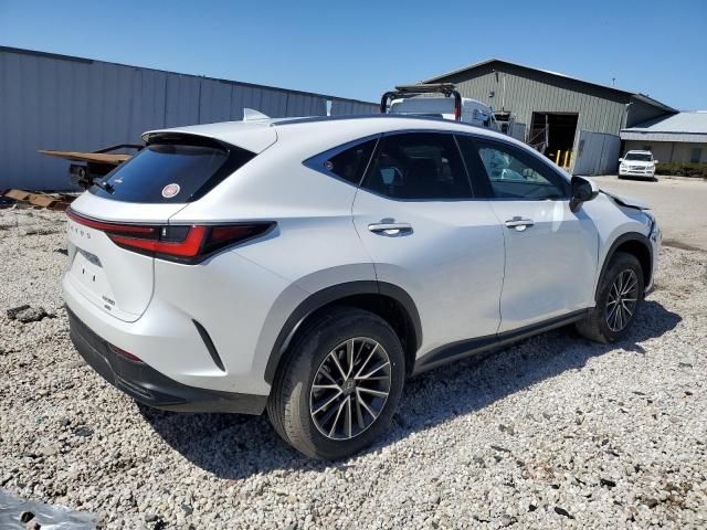 2023 Lexus NX 350