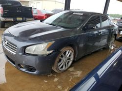 Salvage cars for sale at Tanner, AL auction: 2010 Nissan Maxima S