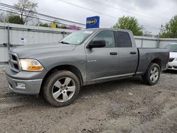 Salvage cars for sale at Walton, KY auction: 2009 Dodge RAM 1500