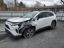 Vehiculos salvage en venta de Copart Albany, NY: 2023 Toyota Rav4 XLE