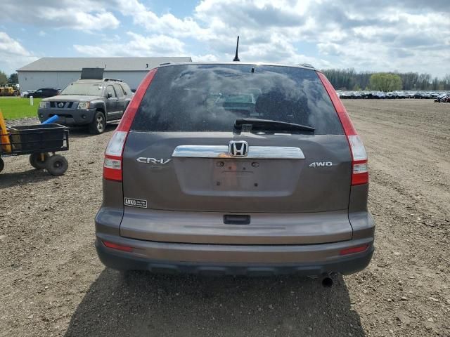 2010 Honda CR-V EX