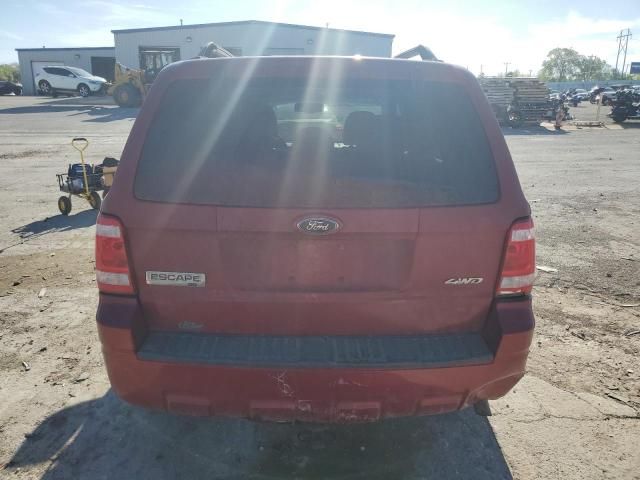 2009 Ford Escape XLT