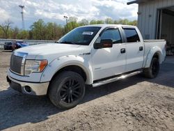 2013 Ford F150 Supercrew for sale in York Haven, PA