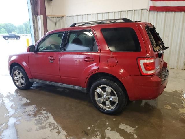 2010 Ford Escape Limited