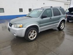 Salvage cars for sale at Farr West, UT auction: 2005 Ford Escape HEV