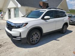 Vehiculos salvage en venta de Copart Northfield, OH: 2023 Honda Passport EXL