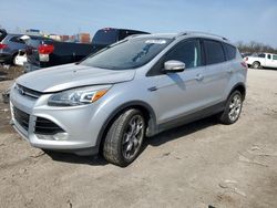 Salvage cars for sale from Copart Columbus, OH: 2014 Ford Escape Titanium