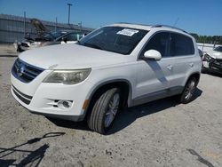 Salvage cars for sale at Lumberton, NC auction: 2009 Volkswagen Tiguan S
