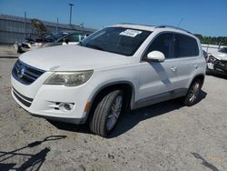 Volkswagen Tiguan s salvage cars for sale: 2009 Volkswagen Tiguan S