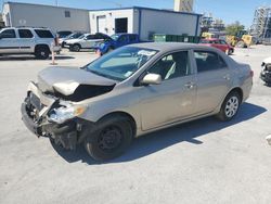 Toyota salvage cars for sale: 2010 Toyota Corolla Base