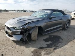 Salvage cars for sale at Fredericksburg, VA auction: 2019 Ford Mustang