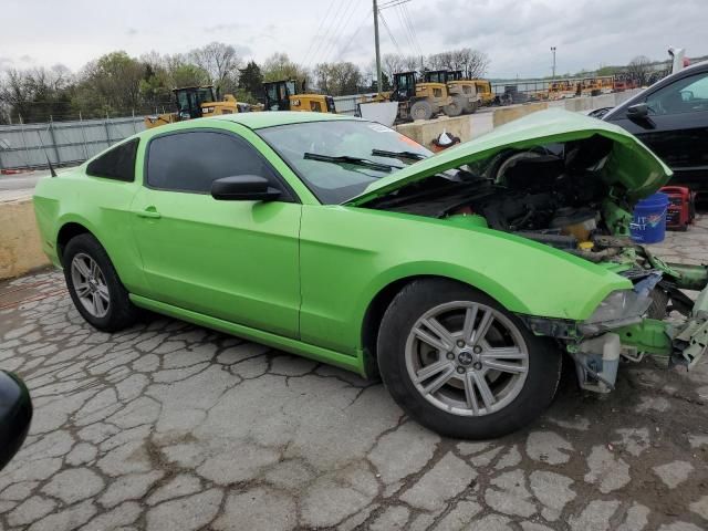 2013 Ford Mustang