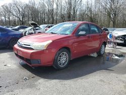 Ford salvage cars for sale: 2010 Ford Focus SE