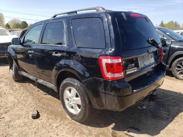 2010 Ford Escape XLT