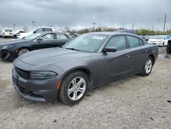 Salvage cars for sale at Indianapolis, IN auction: 2019 Dodge Charger SXT
