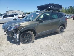 Salvage cars for sale at Memphis, TN auction: 2023 Subaru Forester Wilderness