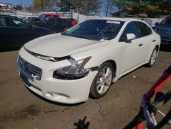 Salvage cars for sale at New Britain, CT auction: 2014 Nissan Maxima S