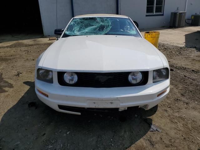 2005 Ford Mustang