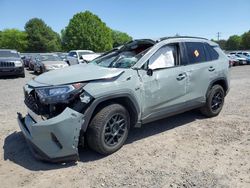 Toyota rav4 salvage cars for sale: 2021 Toyota Rav4 XLE