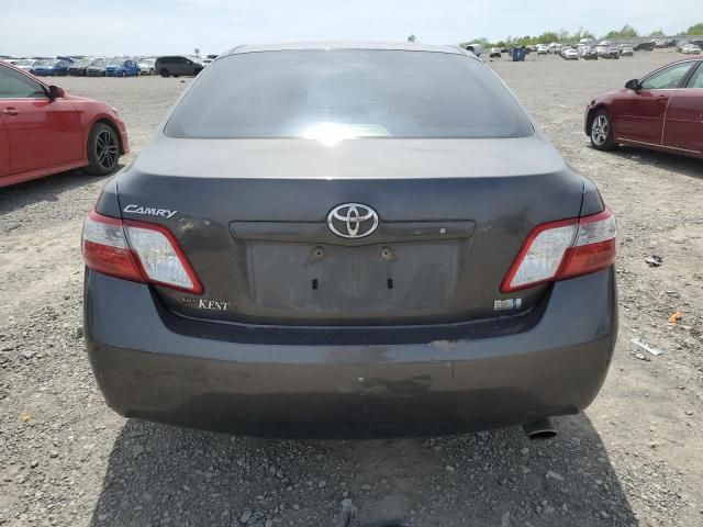 2007 Toyota Camry Hybrid