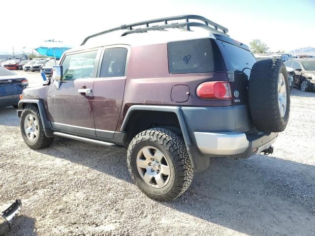 2007 Toyota FJ Cruiser