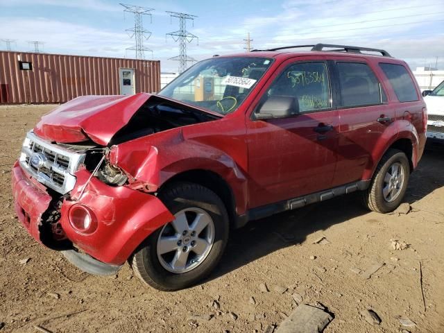 2011 Ford Escape XLT