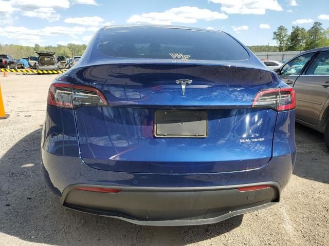 2020 Tesla Model Y