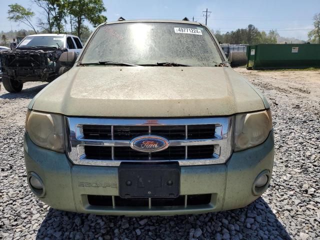 2008 Ford Escape XLT