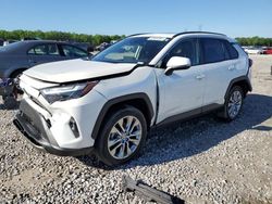 Salvage cars for sale at Memphis, TN auction: 2022 Toyota Rav4 Limited