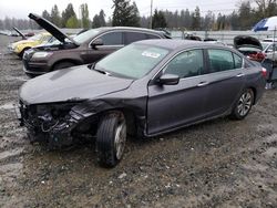 Honda Vehiculos salvage en venta: 2015 Honda Accord LX