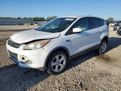 Ford Escape Vehiculos salvage en venta: 2013 Ford Escape SE