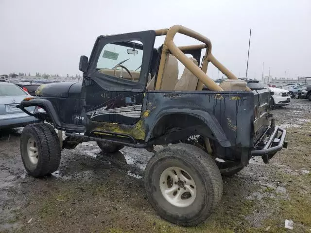 1991 Jeep Wrangler / YJ S