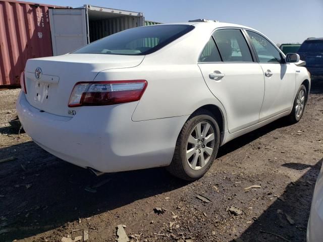 2008 Toyota Camry Hybrid