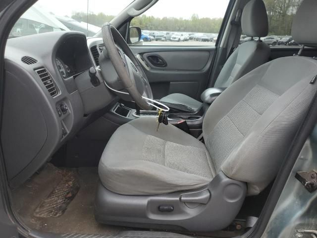 2007 Ford Escape XLT