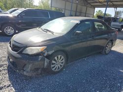 Toyota Corolla salvage cars for sale: 2012 Toyota Corolla Base