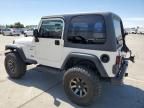 1999 Jeep Wrangler / TJ Sport