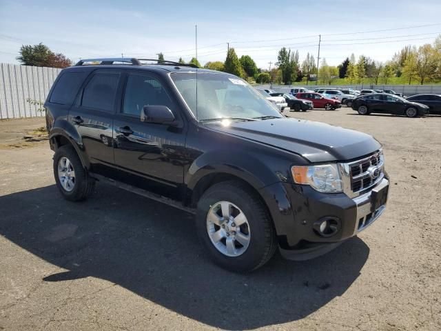 2010 Ford Escape Limited