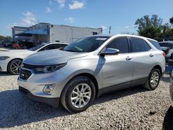 Vehiculos salvage en venta de Copart Opa Locka, FL: 2018 Chevrolet Equinox LT