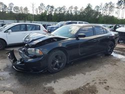 Salvage cars for sale at Harleyville, SC auction: 2013 Dodge Charger SE