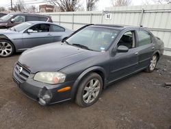 Nissan Maxima GLE salvage cars for sale: 2002 Nissan Maxima GLE