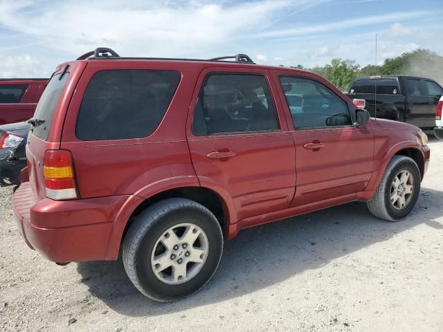 2006 Ford Escape Limited