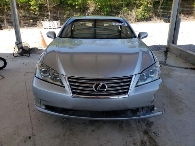 2010 Lexus ES 350