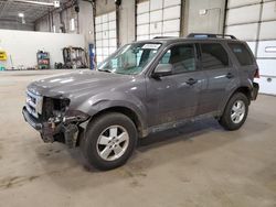 Salvage cars for sale from Copart Blaine, MN: 2012 Ford Escape XLT
