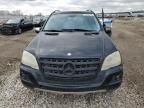 2010 Mercedes-Benz ML 350